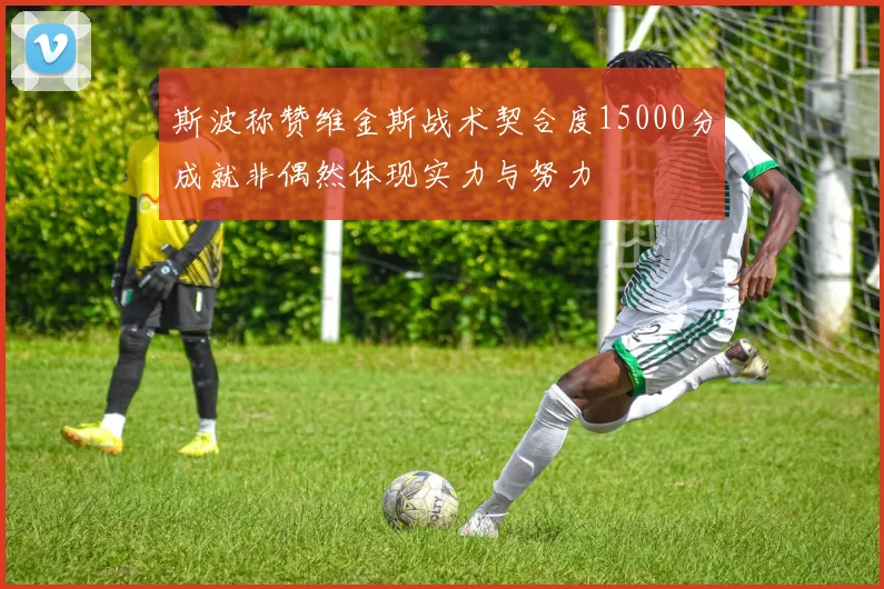 斯波称赞维金斯战术契合度15000分成就非偶然体现实力与努力
