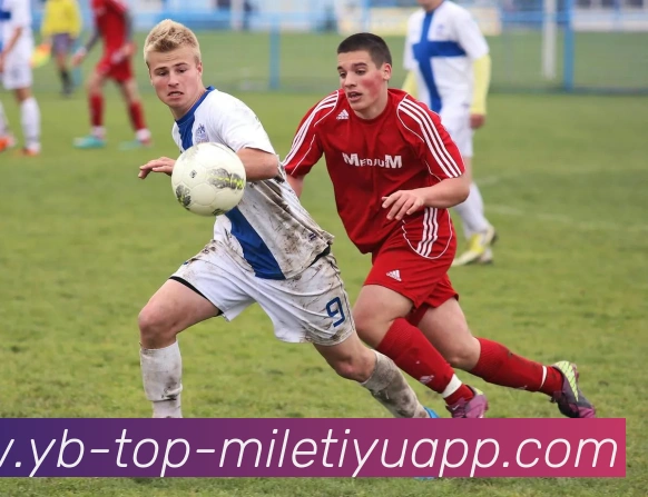 多媒体互动体验